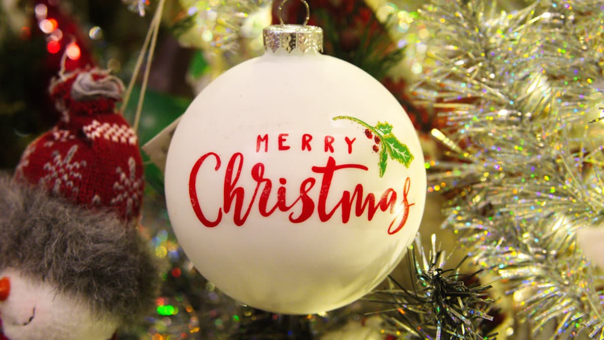 Christmas has arrived early!